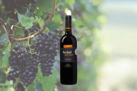 Techni Alipias Cabernet Sauvignon-Agiorgitiko