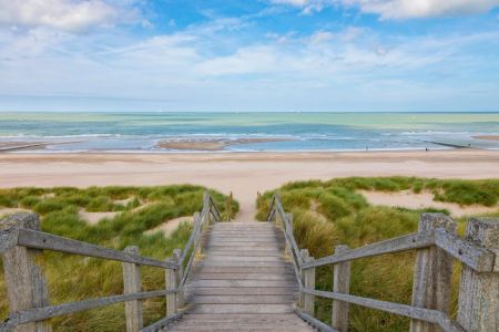 Ontspan in een oase van luxe bij stad en strand | België